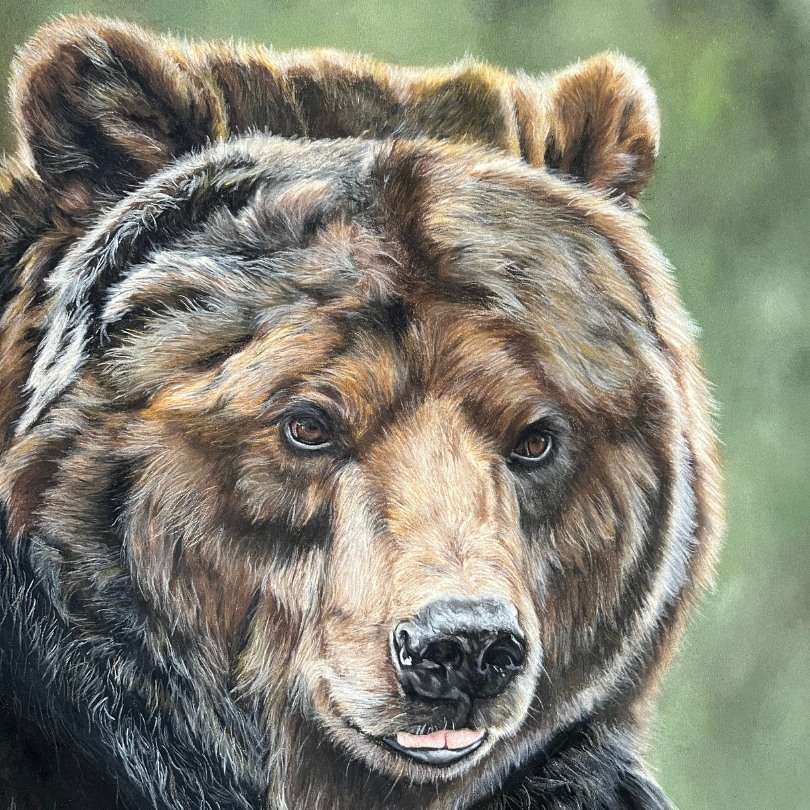 <img src="Animal-totem-ours.png" alt="art vibratoire animal totem">