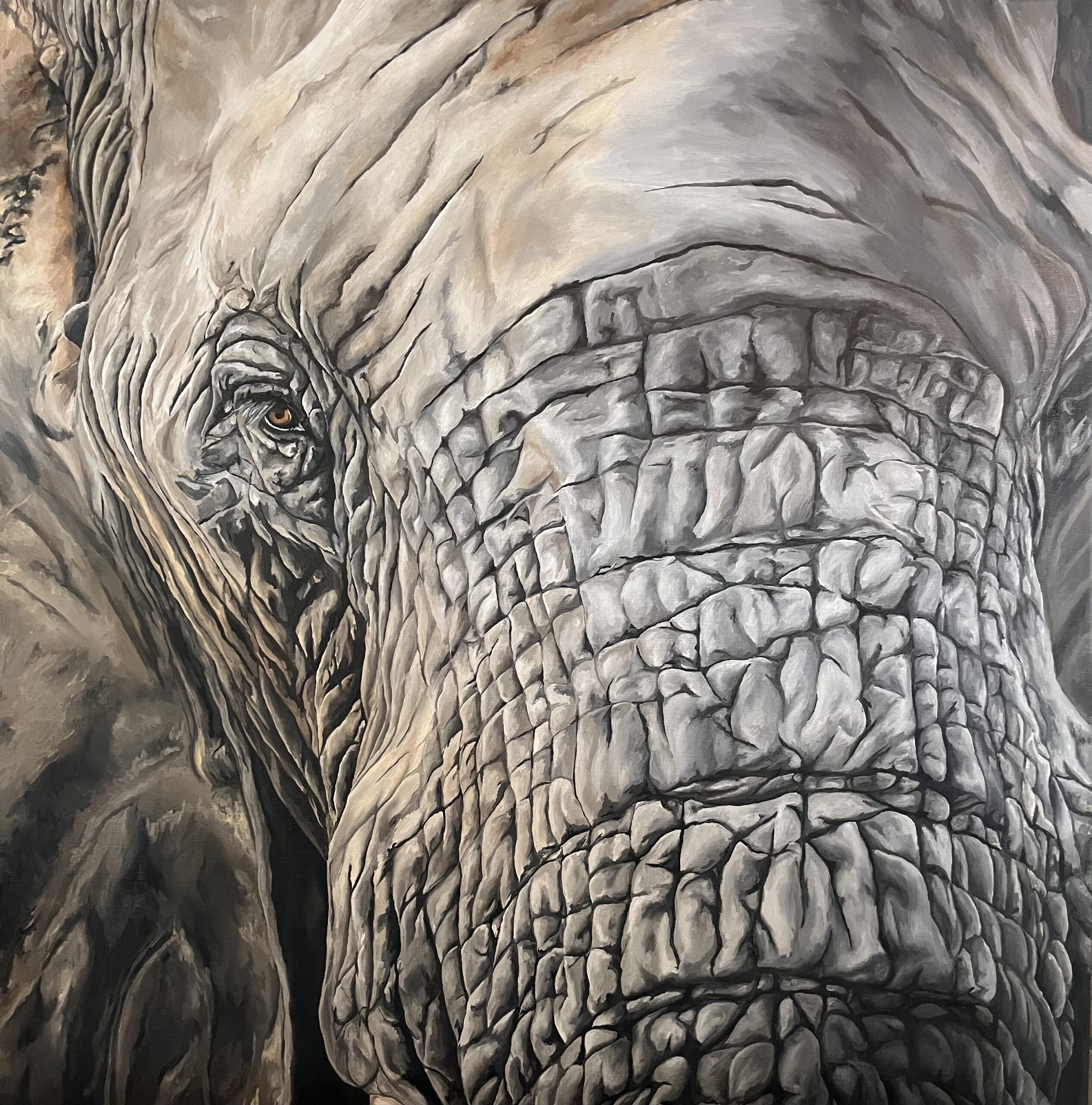 <img src="Peinture-elephant-a-lhuile.jpg" alt="œuvres vibratoires à vendre elephant huile">