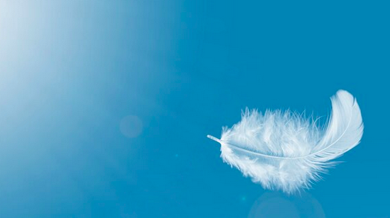<img src"Plume-blanche-sur-ciel-bleu-1.png" alt="Contact defunt plume">